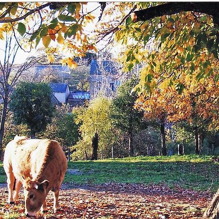 Le Martinou Le Cayrol Exterior foto