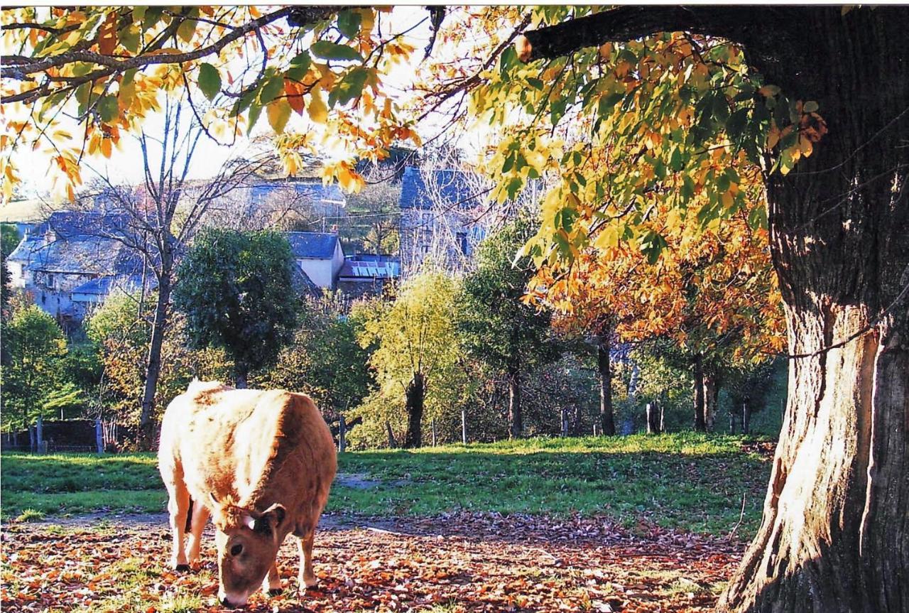 Le Martinou Le Cayrol Exterior foto